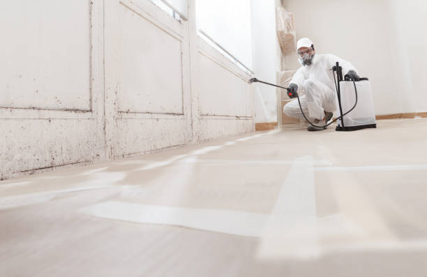 24/7 Emergency Black Mold Removal experts in Allendale, NJ