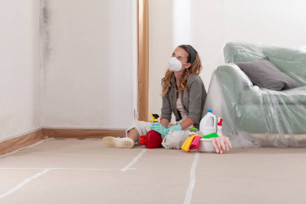 Reliable Black Mold Removal contractor in Allendale, NJ by WQB Mold Removal